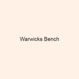 Brouns & Co Linseed Paint - Warwicks Bench