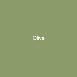 Brouns & Co Linseed Paint - Olive