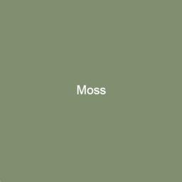 Brouns & Co Linseed Paint - Moss
