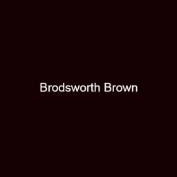Brouns & Co Linseed Paint - Brodsworth Brown