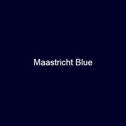 Brouns & Co Linseed Paint - Maastricht Blue