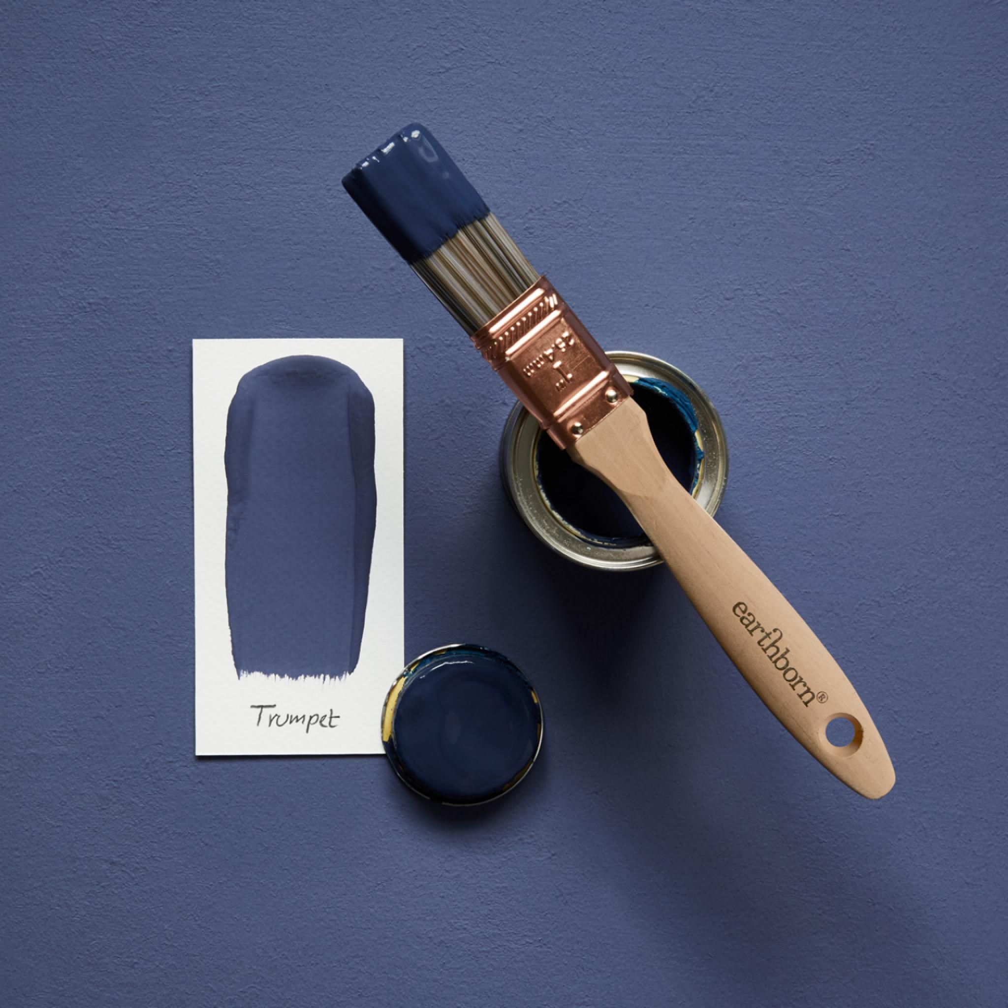 Earthborn Breathable, Interior Claypaint 5L Lime Stuff