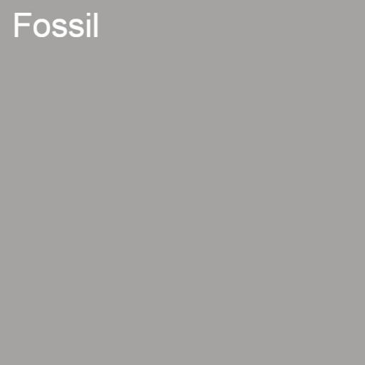 Silicate - Fossil.jpg