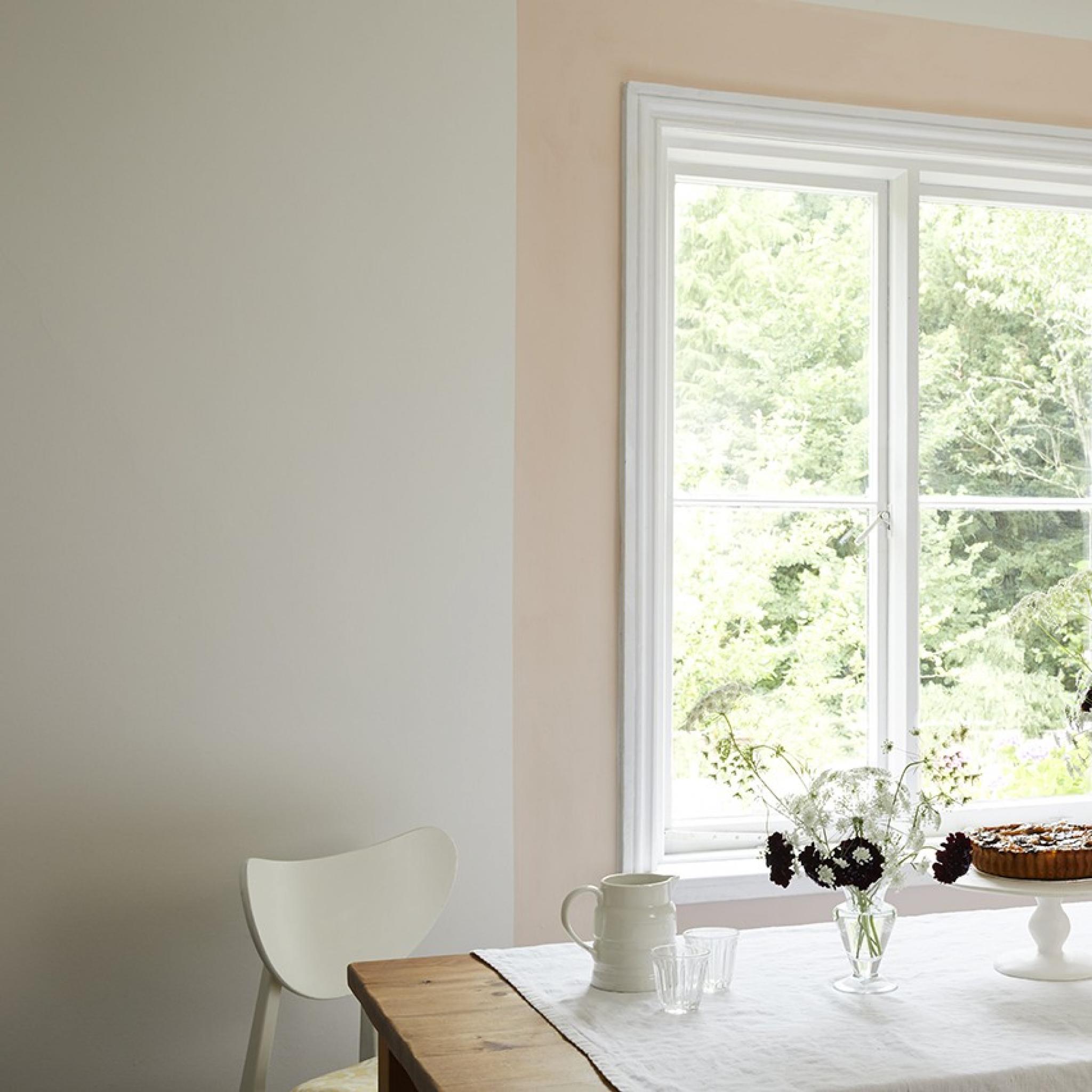 Earthborn Breathable, Interior Claypaint Lime Stuff