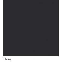 Ebony(w).jpg