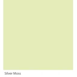 SilverMoss(w).jpg