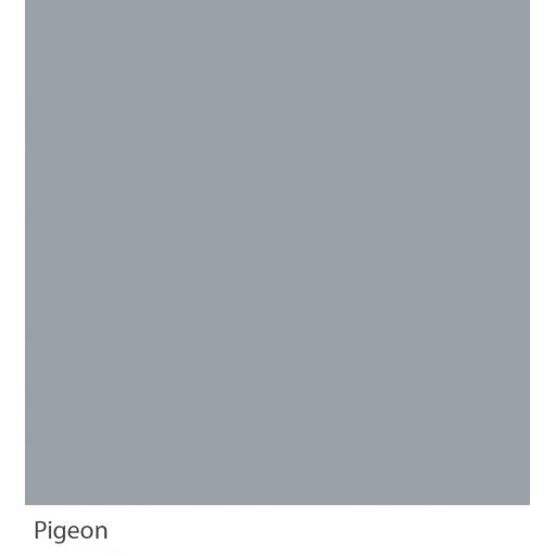 Pigeon(w).jpg