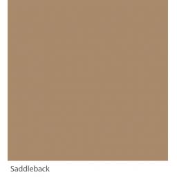 Saddleback(w).jpg