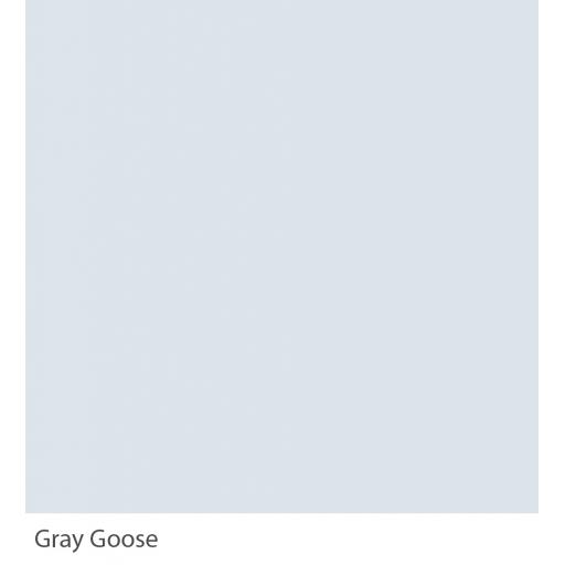 GrayGoose(w).jpg
